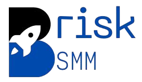 Brisk SMM Logo